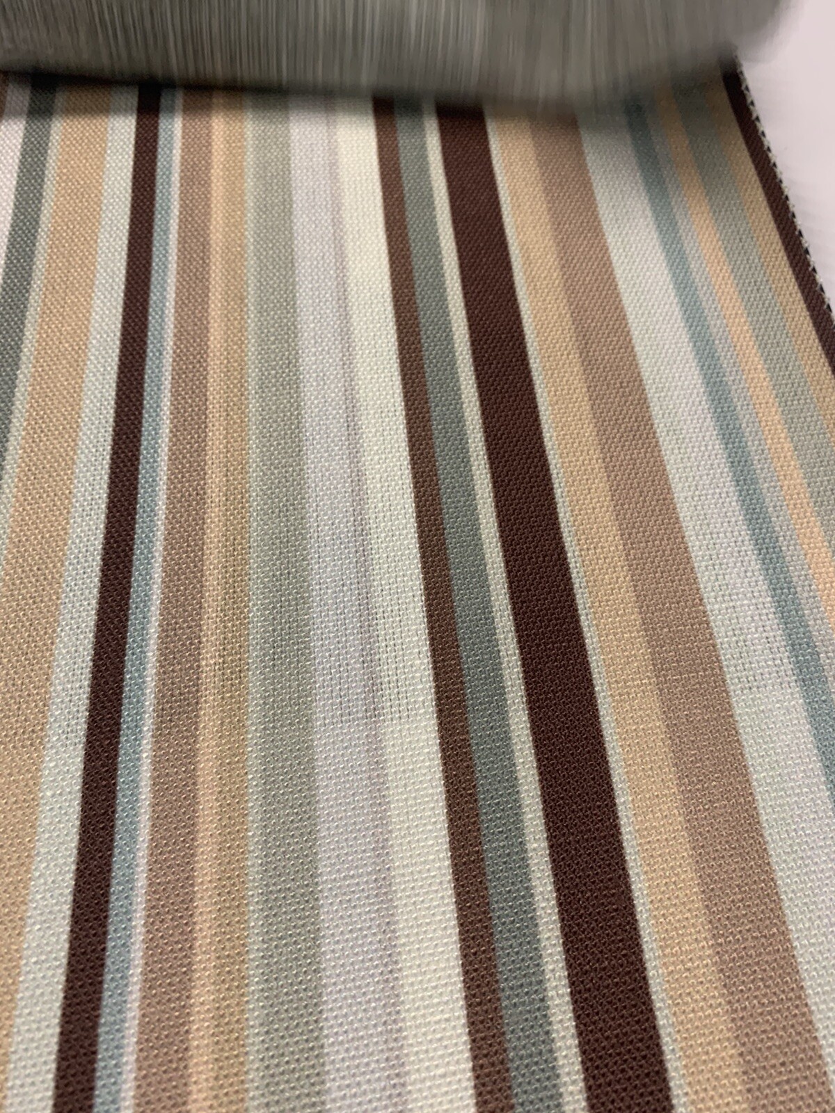 Picture 11 of 12