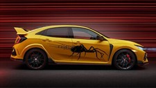 Huge Spider Spiderweb Web Car Truck Boat Trailer Body Graphics Decal Decals Huge Spider Spiderweb Web Car Truck Boat Trailer Body Graphics Decal Decals