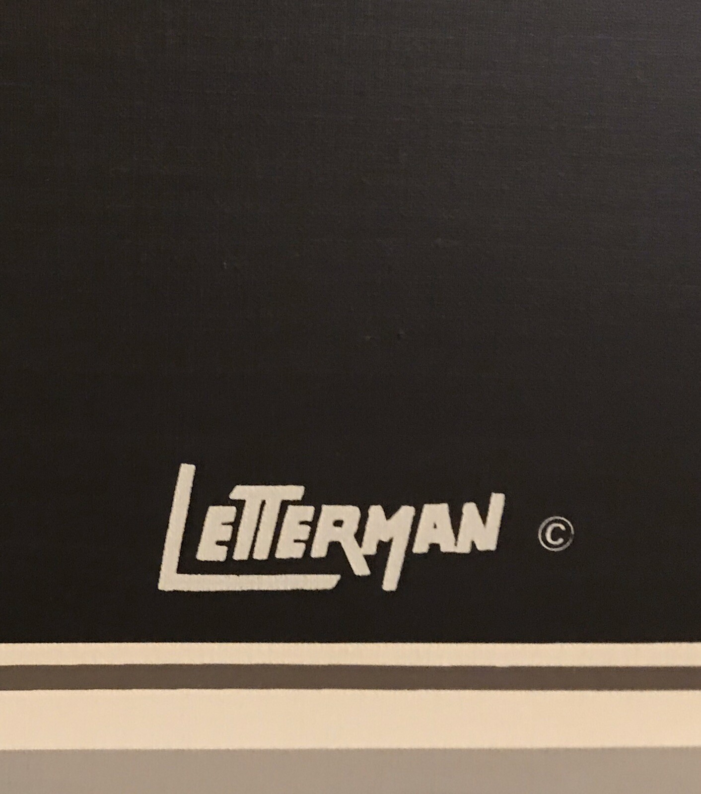 Vintage Letterman Large Canvas Oil Painting Flowers Butterfly 1970s