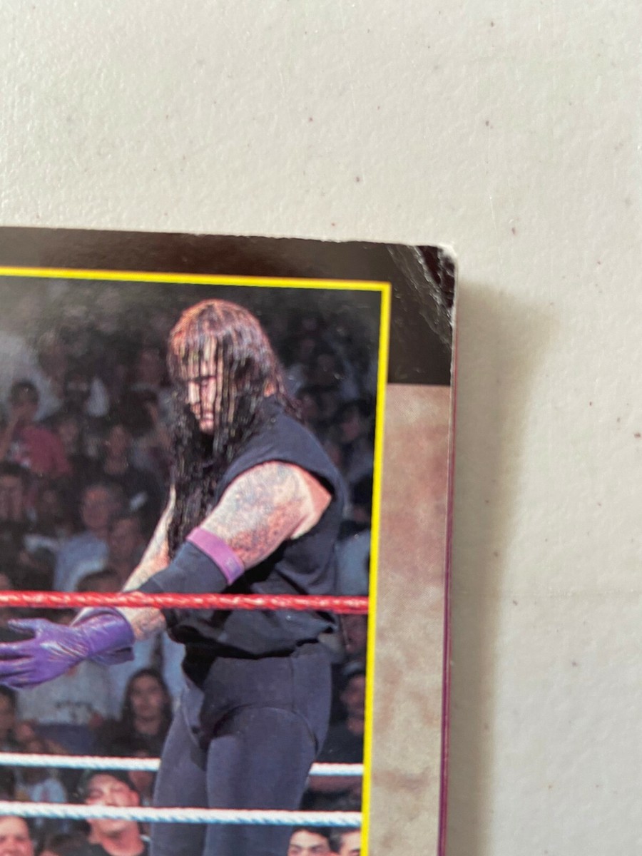 RAYGUN 1996年8月号 SABLE/MARK MERO - 1996 WWF MAGAZINE CARD # 76 - SABLE FINDS
