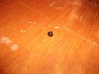 <!--F#f_0-->NEW WINDSCREEN WIPER SWITCH KNOB GRUB SCREW SUITS HD HR HOLDEN<!--F/-->