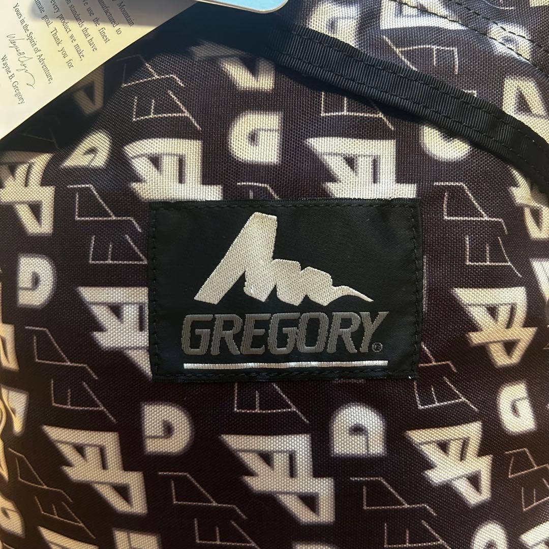 GREGORY Gregory Daypack Backpack 30th Anniversary… - image 2