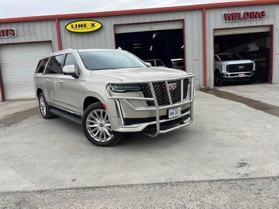 2021-25 Cadillac Escalade Grille Brush Guard Powder Coat Gloss Black MADE IN USA