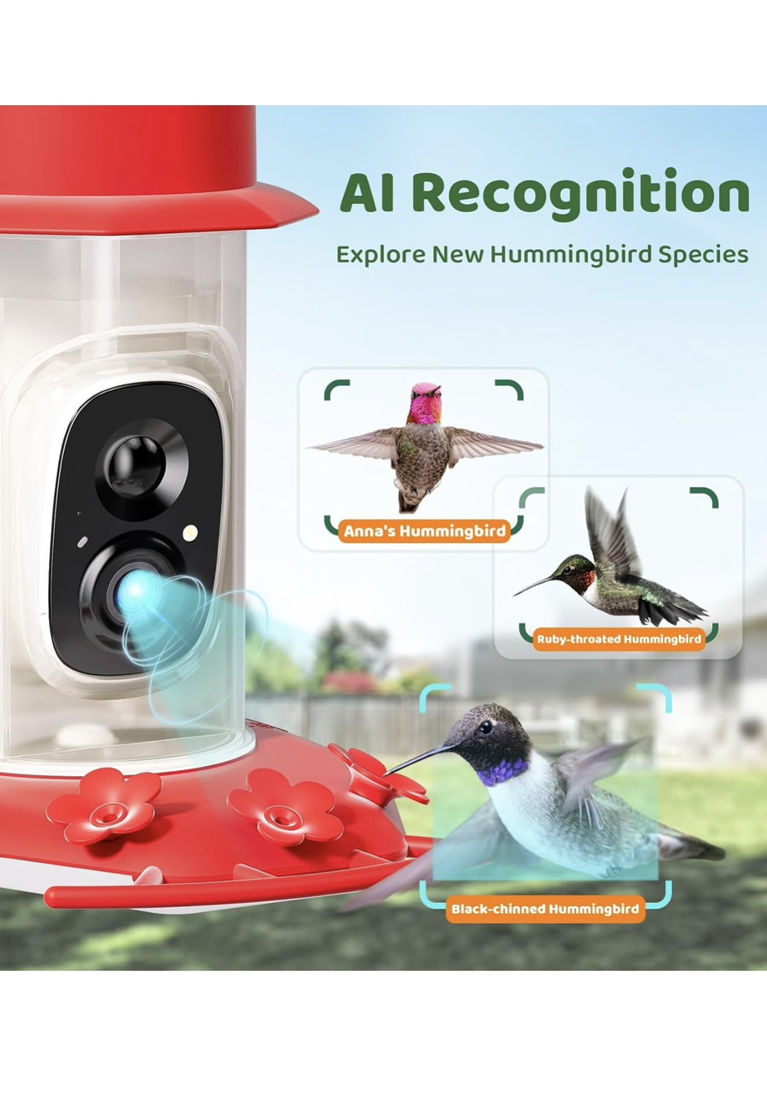 Smart Hummingbird Feeder with Camera Solar Powered,Easy Clean & Refill (17.5 oz)