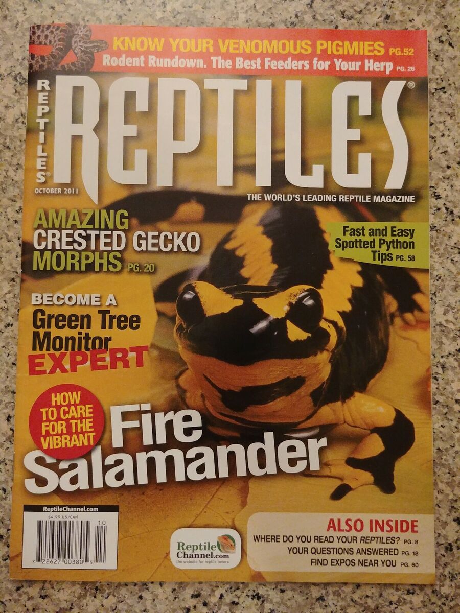 Dragon Snake - Reptiles Magazine