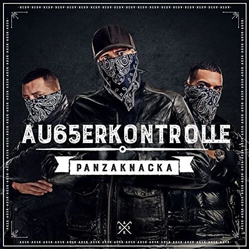 Sammelauflösung von 250 Fan Deluxe Boxen Rap, Pop, Rock, Metal, Dance, Raggae - Bild 14 von 253