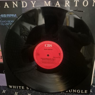 Sandy Marton   White Storm In The Jungle IMPORT PIC SLEEVE VINYL 12'' 2AR D