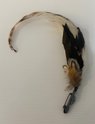 Vintage Austrian Tyrolean Feather Hat Ornament 12” Kitzbühel Trachten Pin