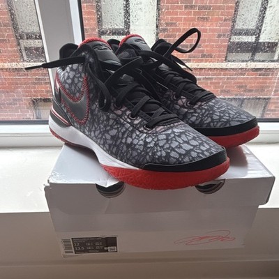 Nike Zoom LeBron NXXT Gen Low Top Basketball Sneaker Black Gray Red Lace-Up