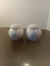 Set Of Nice Salt Pepper Shakers With Rose Pattern