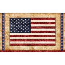 Patriotic American Flag Eagle Stars Stripes Cotton Fabric QT Brave 24"X44" Panel