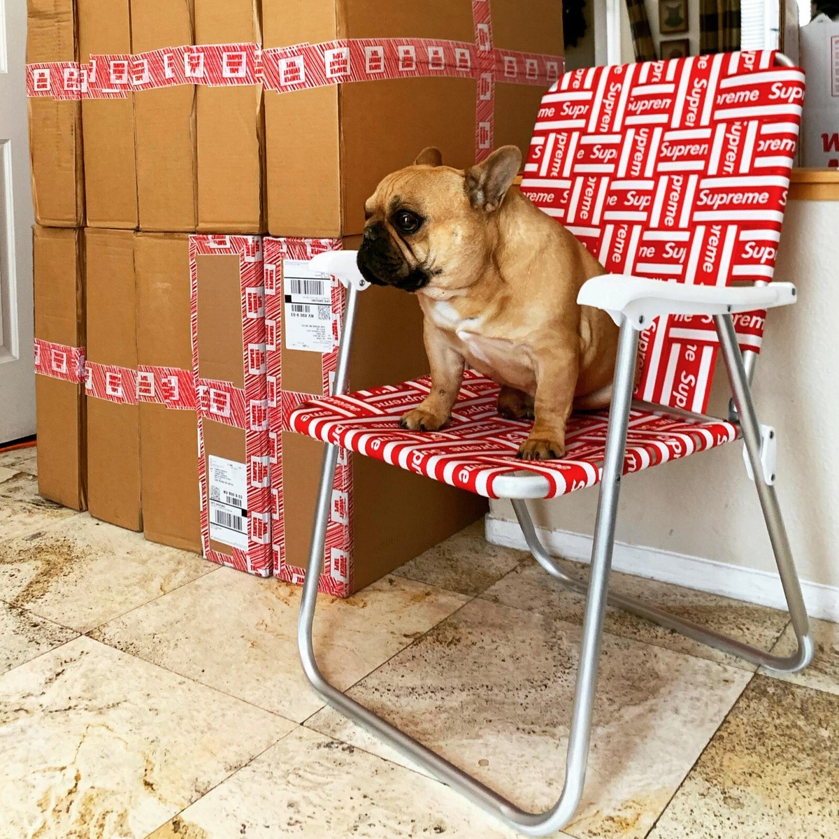 supreme lawn chair 新品未使用 Supreme Lawn Chair – BASEMENT_HK
