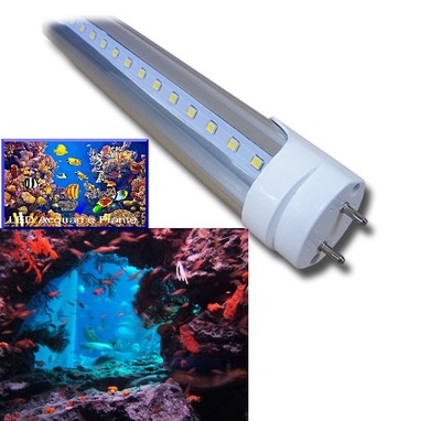 luce acquario led o neon