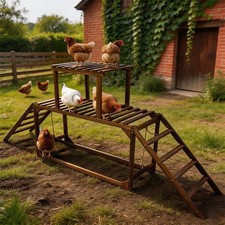 Wooden Chicken Coop Perch Roosting with Climbing Ladder Swing for 8-10 Chickens