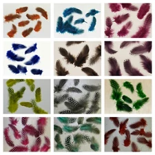 Nimrod's Tackle  50 GUINEA FEATHERS FLY TYING MTERIAL YOU PICK COLOR
