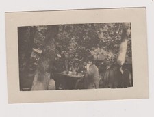 Photo-carte pique-nique picnic dans les bois bonne humeur vin table nourriture