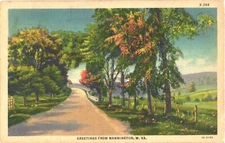 Beautiful Trees Along The Picturesque Road, Mannington, West Virginia Postcard