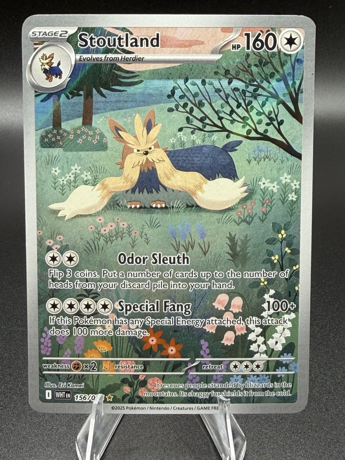 Pokémon TCG Stoutland 156/086 White Flare Illustration Rare English NM