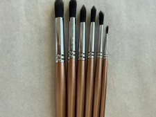 Transon 6pc Round Watercolor Paint Brush Set Goat Hair 6pcs Champagne