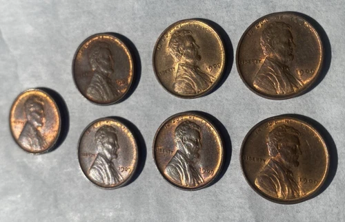 (7) 1909 VDB BU Lincoln Cents RD -RB