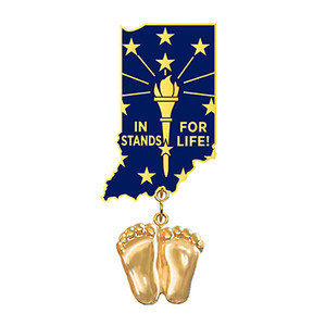 Authentic Precious Feet, 14K Gold Plated, Indiana Flag Jewelry, Lapel Pin