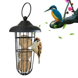 automatic wild bird feeder