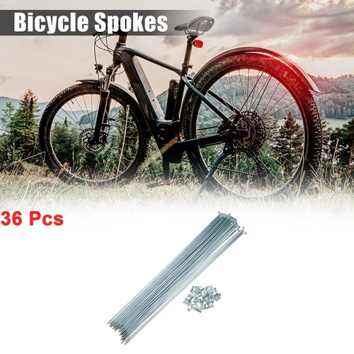 36x Fahrrad Speichen 14G 115mm Mit Nippeln - Edelstahl Ersatzspeichen