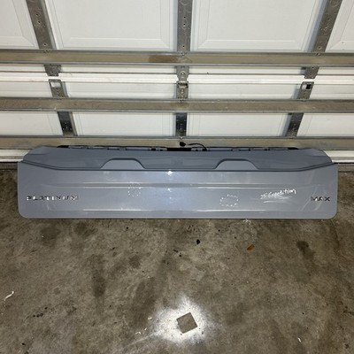 2025 FORD EXPEDITION PLATINUM LOWER LIFTGATE TAILGATE Glacier Grey Metallic OEM