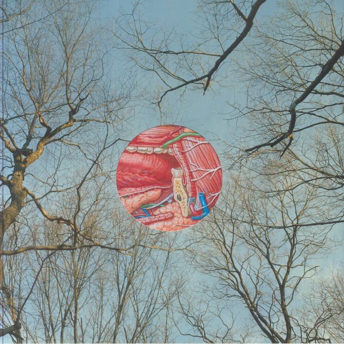 THEY MIGHT BE GIANTS - Glean - CLEAR & RED SMOKEY VINYL LP