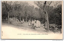 ALGERIA - ALGIERS - El Ketar cemetery