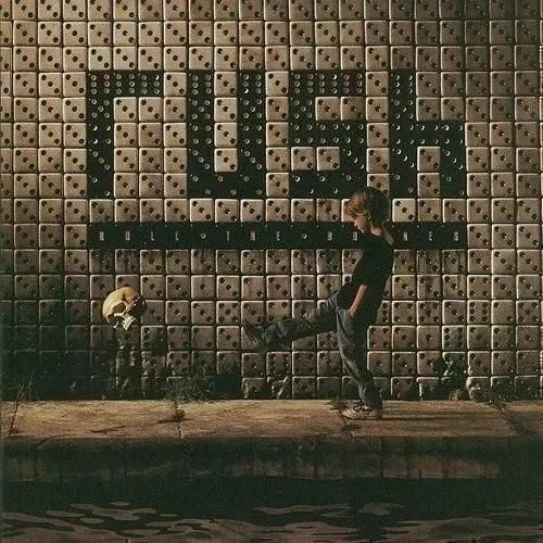 RUSH ROLL THE BONES (LP) NEW VINYL RECORD