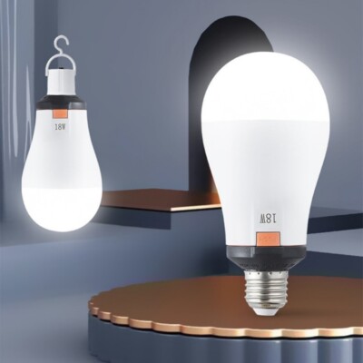 LED Rechargeable Detachable Light Bulb
