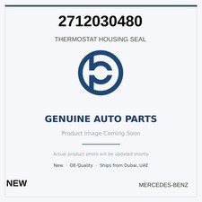 Thermostat Mercedes 250