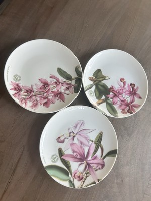 Orchid Plates Flower 3 Royal Botanic Gardens Kew Cattleya Walkeriana Violacea 8 