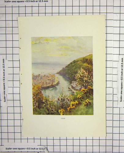 Original Old Antique Print Colour View Looe Ships Sea Flowers Cliffs 18th