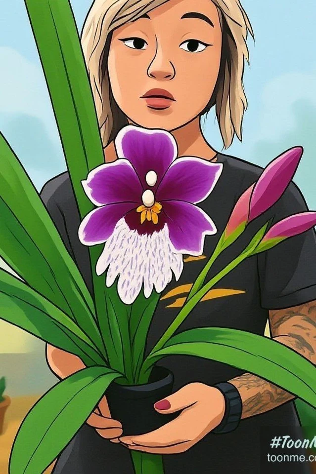 Who doesn't Love Orchids! My FIRST week on ebay live! Come hang out