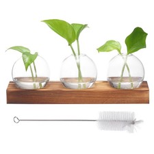 Small Plant Propagation Stations Glass Vases Wooden Tray 3 Bulb Flower Vase,1pcs