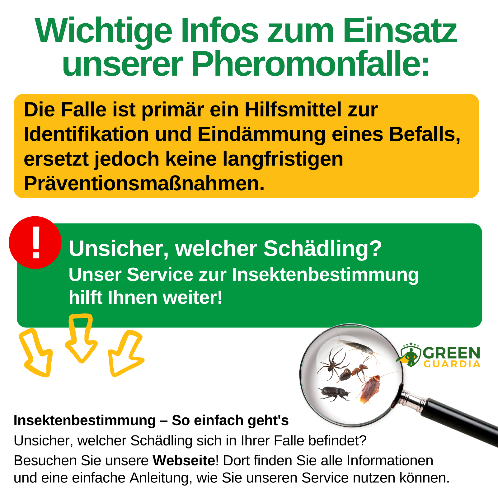 Bild 24 von 41