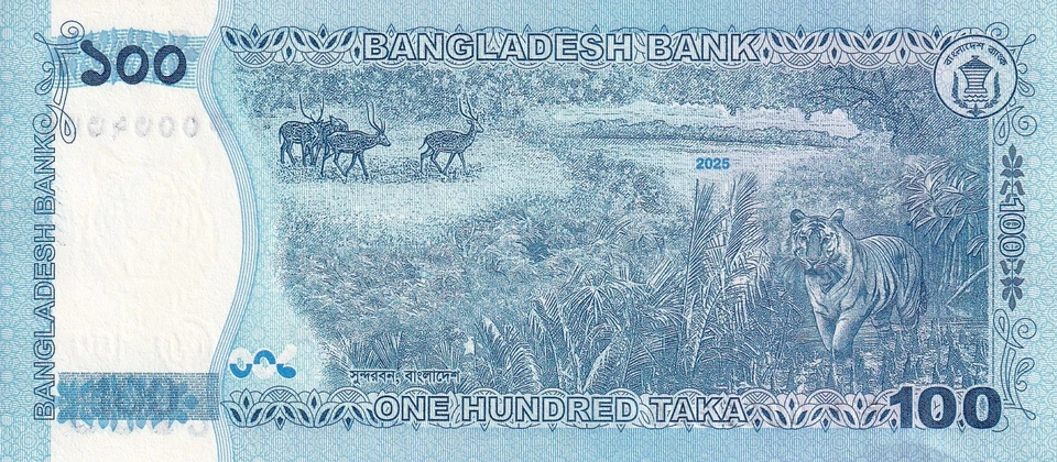 Bangladesh 100 Taka 6 2025 - Forêt des Sundarbans et Tigre du Bengale - Photo 2/2