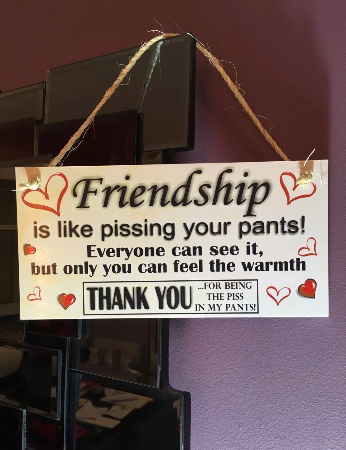 Thanks For Being the P*ss In My Pants"" unhöflich lustig hängendes Seil Plakette Geschenk