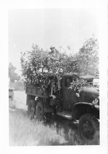 Vintage Photo US Army World War 2 Soldier In Camouflaged Truck 1944 WW2