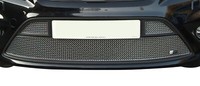 Ford Focus ST MJ 08 – Unterer Grill, Silbern (2008 Bis 2010)