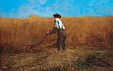 The Veteran in a New Field Painting by Winslow Homer Reproduction
