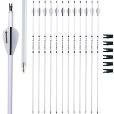 Carbon Arrow Archery 30inch Bright Colors Hunting Target Practice Arrows for ...