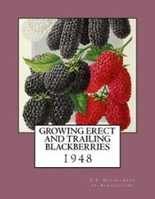 Growing Erect and Trailing Blackberries by U S Department of Agriculture