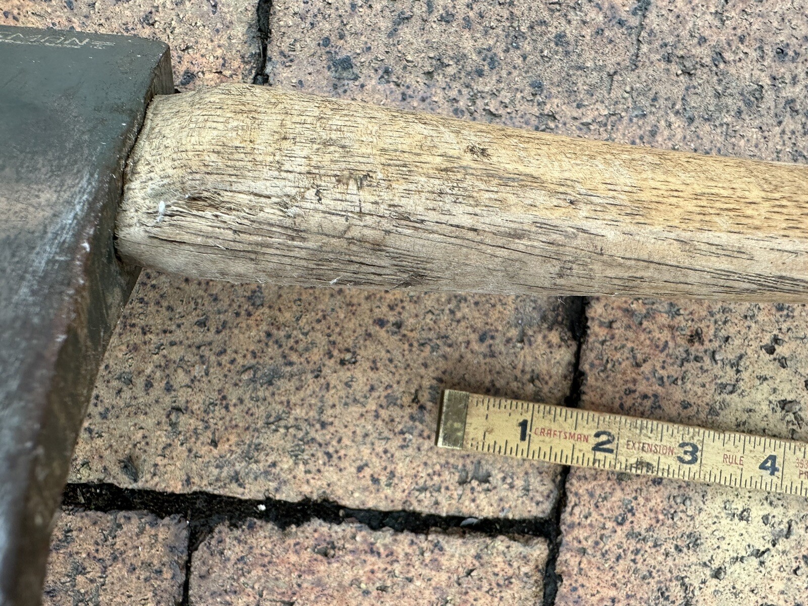 Picture 8 of 12