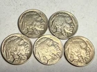 (Lot of 5) XF full-horn Indian Head BUFFALO NICKELS. 2x 1936, 3x 1937 #q11