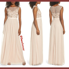 NWT 249 Adrianna Papell Beaded Mesh Gown in Shell PETITE SZ 8P F632