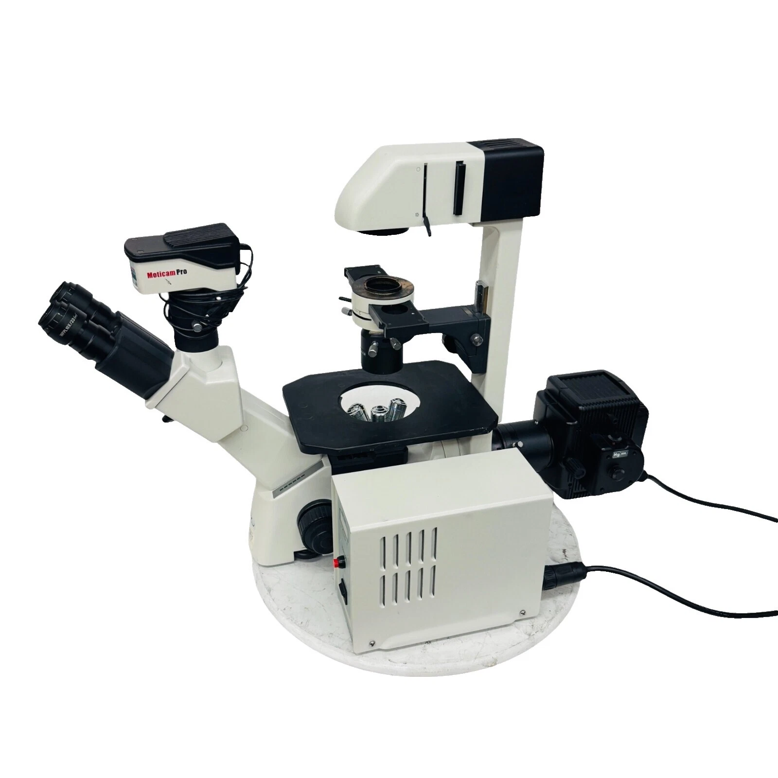 Microscopios médicos invertidos con microscopio de fluorescencia