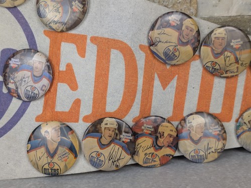 VINTAGE EDMONTON OILERS PENNANT & RONALD MCDONALD HOSUE PINS GRETZKY FURR - Foto 4 di 6